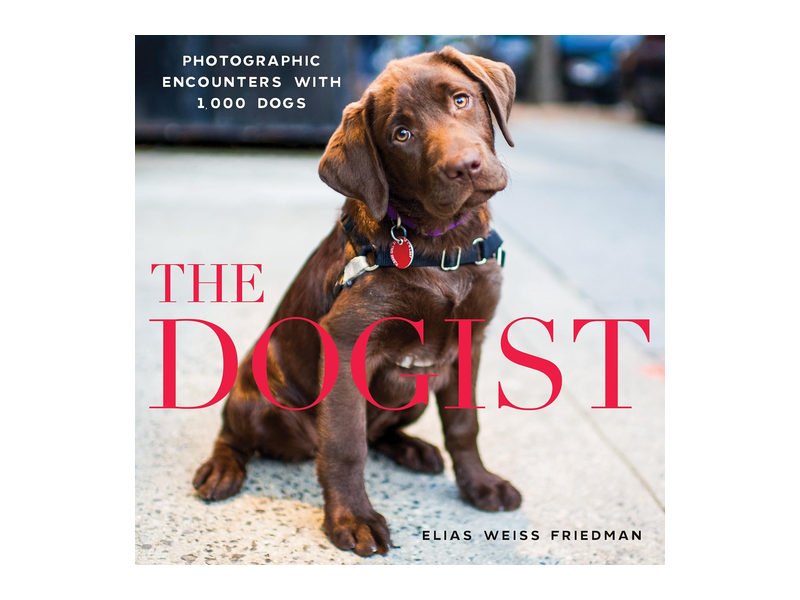 The Dogist hardcover with a brown dog portrait on its cover