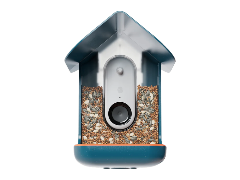 Front view of a blue Birdbuddy Pro Solar feeder with its camera and orange perch; the manufacturer's photograph shows it filled with seed