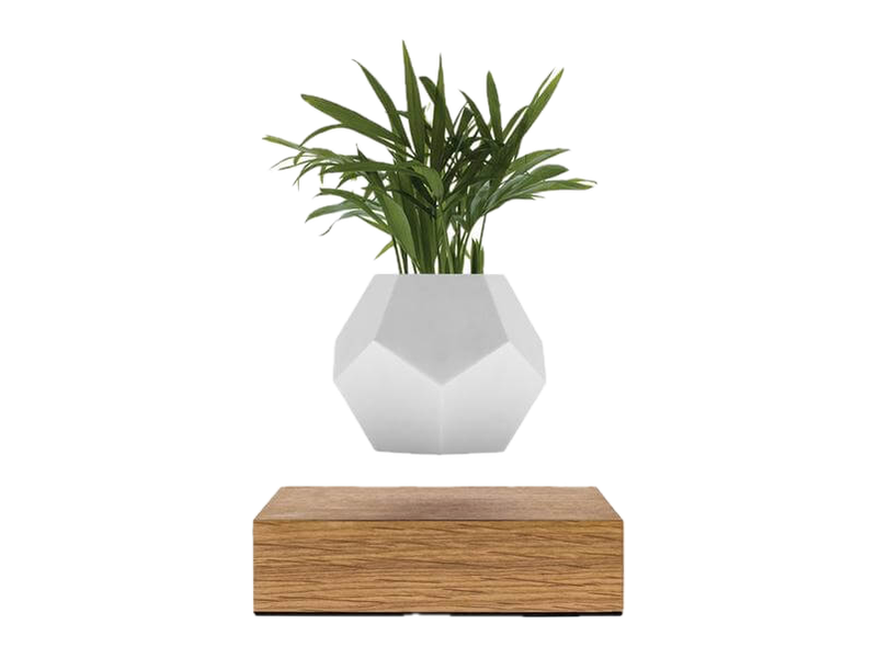A white faceted FLYTE LYFE planter styled with green leaves, floating above its square oak base