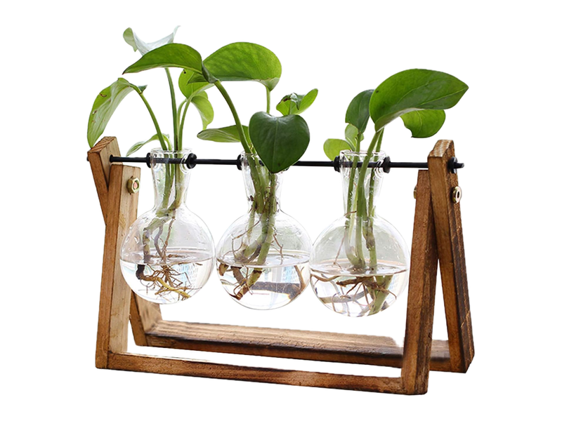 Three clear glass bulb vases styled with leafy cuttings on a wooden XXXFLOWER propagation stand